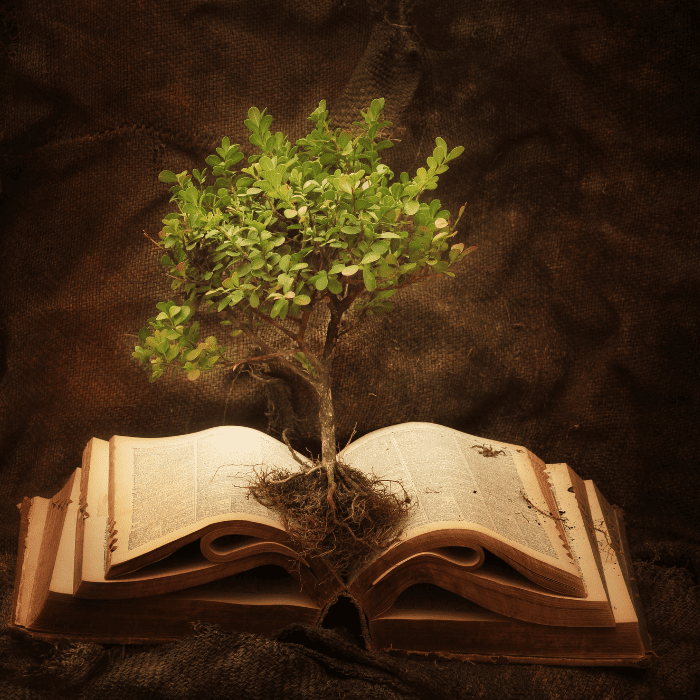 the-relevance-of-ancient-wisdom-in-modern-times