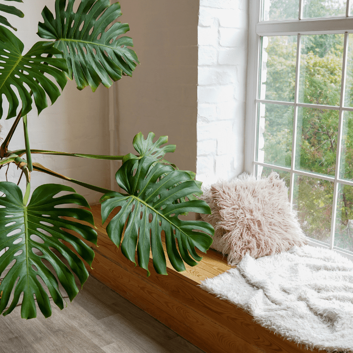 how-to-create-a-peaceful-meditation-space-at-home