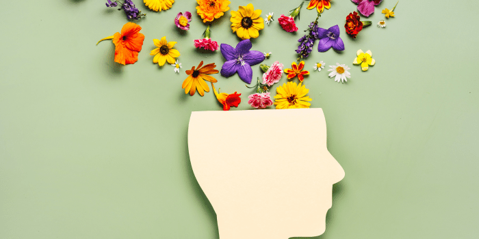 mental-health-for-busy-professional